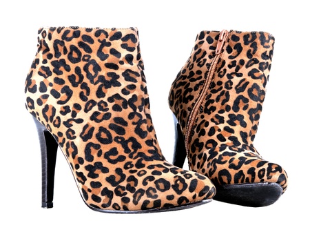 Leopard Print Boots on white backgroundの写真素材