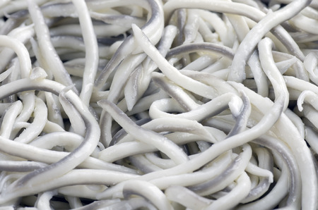 Cooked baby eel. typical Spanish dishの写真素材