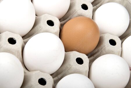 fresh white eggs and one brown egg. be different concept