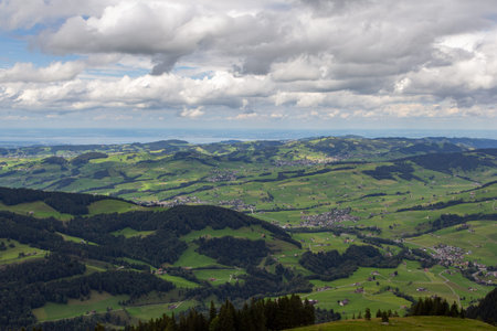 Wide Panorama of Swiss Green Hills with Fir Trees and Distant Lake