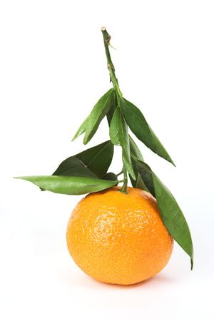 Tangerine, stem with leaves, on a white backgroundの写真素材