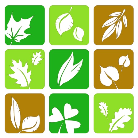 Miscellaneous green and brown summer leaves silhouettes icons in a table.のイラスト素材