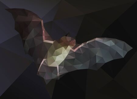 Abstract geometric stylized bat over dark background.のイラスト素材
