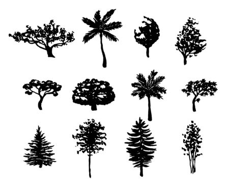 Big set of hand drawn forest trees silhouettes vector illustration in black isolated over white.のイラスト素材