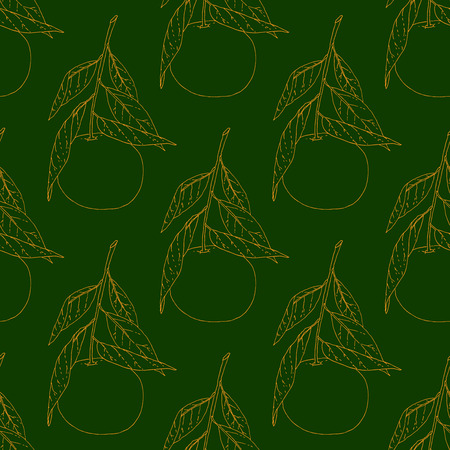 Hand drawn outline tangerine fruit seamless pattern. Vector background.のイラスト素材