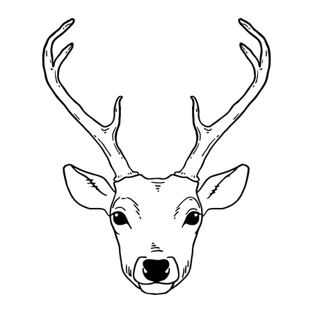 Hand drawn tribal style young deer head. Magic vintage vector illustration in black over white. Spiritual art, yoga, boho style, nature and wilderness. T-shirts and tattoo design.のイラスト素材