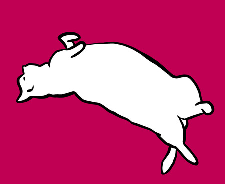 Funny hand drawn white fat cat lying. Animal vector outline sketch illustration with a pet kitty. Isolated over bright pink.のイラスト素材