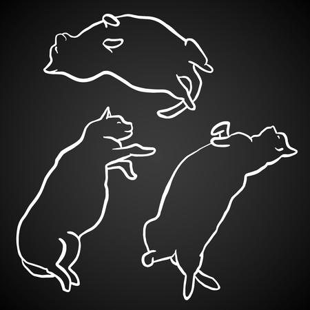 Funny hand drawn fat cats lying. Animal vector outline sketch illustration with kitties. White contour pets set isolated over black.のイラスト素材