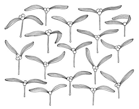 Set of hand drawn mistletoe branches with leaves and berries. Vector Christmas illustration. Winter holidays greeting card design elements in black isolated over white.のイラスト素材