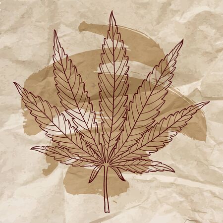 Marijuana leaf. Hand drawn narcotic cannabis design element over crumpled paper. Vintage hemp vector illustration with brush stroke.のイラスト素材