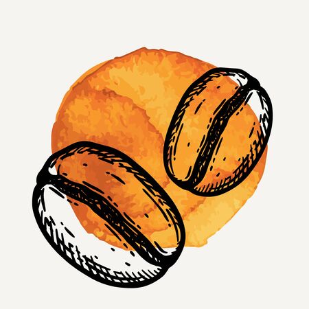 Pair of roasted coffee beans, caffeine symbol and brown watercolor drop. Hand drawn graphic vector illustration isolated on white background.のイラスト素材