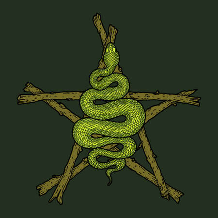 Coiled snake over sticks pentagram detailed illustration. Tribal occult serpent isolated over dark green background. Vector magic witchcraft design.のイラスト素材