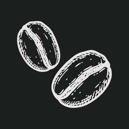 Group of roasted coffee beans, caffeine symbol. Hand drawn graphic vector illustration in white isolated over black background.のイラスト素材