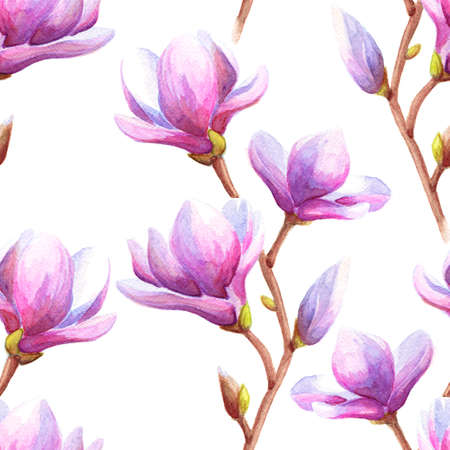 Hand drawn watercolor seamless pattern illustration of magnolia branches with pink flowers over white background.の写真素材