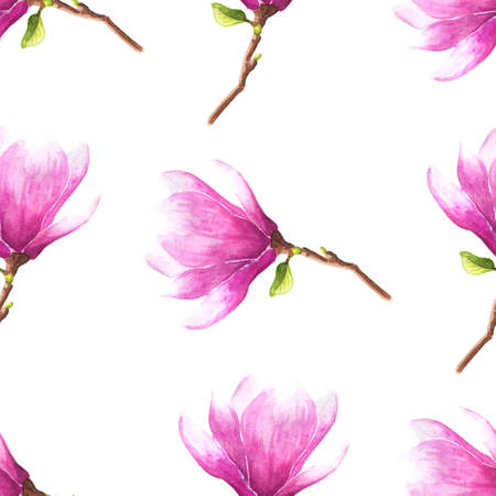 Hand drawn watercolor seamless pattern illustration of magnolia or tulip tree pink flowers over white background.の写真素材