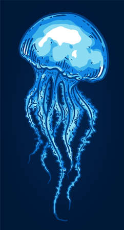 Hand drawn blue jellyfish isolated vector illustration. Medusa with long tentacles line art. Sea nature, underwater life animal.のイラスト素材
