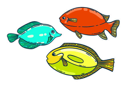 School of colorful bright fish set, hand drawn vector illustration. Restaurant sea food menu graphic...