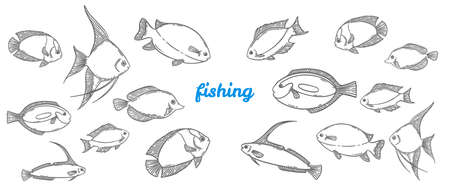 School of fish sketch set, hand drawn vector illustration. Fishing or sea food menu graphic collection engraved style. Black isolated over white.のイラスト素材