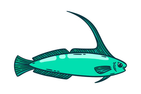 Bright green fish, hand drawn vector illustration. Restaurant sea food menu graphic item isolated over white.のイラスト素材