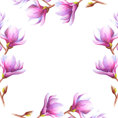 Hand drawn watercolor illustration of magnolia or tulip tree branches with pink flowers isolated over white background. Floral frame with room for your text.の写真素材