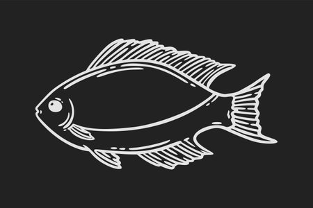 Fish sketch, hand drawn vector illustration. Restaurant sea food menu graphic engraved style. White isolated over black.のイラスト素材