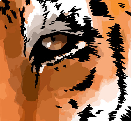 Tiger eye vector illustration. Wild cat head close-up detailed drawing. Majestic predator bengal art.のイラスト素材