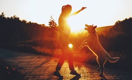 Caucasian girl and her playful dog are posing in the park against the sunshineの写真素材