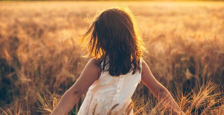 Back view photo of a caucasian girl walking in a wheat field against the sunshine touching the seeds with handsの写真素材