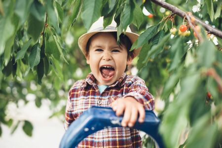 Happy caucasian boy wearing a cowboy hat smiling at camera while eating cherries in the treeの写真素材