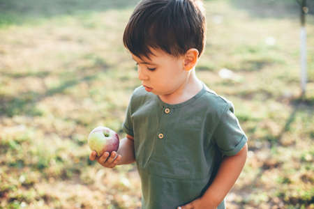 Small caucasian kid walking in a park and eating and apple during a summer sunny dayの写真素材