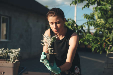 Caucasian woman with freckles is concentrated on planting some flowers in pot outside in the yardの写真素材