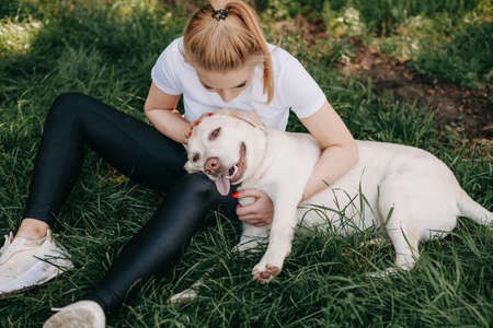 Upper view photo of a caucasian woman embracing her golden retriever lying on the grassの写真素材