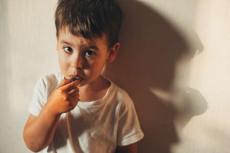 Portrait of a little boy looking at camera deep in thought while eating blueberry.の写真素材