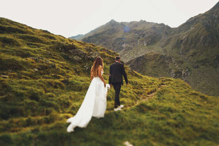 The bride in wedding dress followed the groom while walking along the field against the background of mountains. Wedding travel.の写真素材