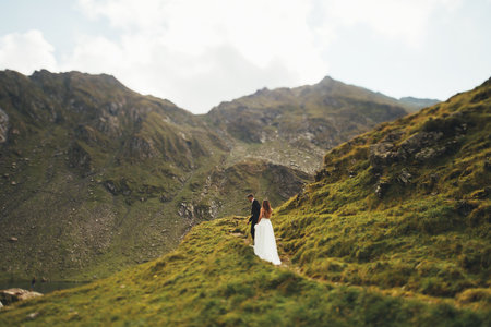 Far away view of a groom leading the bride by the hand while walking in the mountains. Wedding day. Nature landscape. Wedding travel. Cute landscape.の写真素材