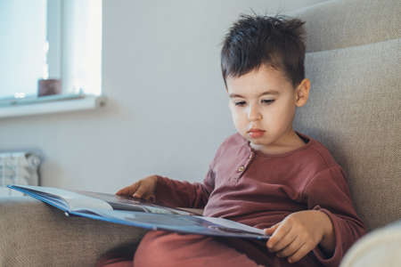 Portrait of little boy sitting on sofa and learn to read book alone with concentration at home....
