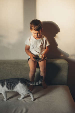 Toddler caucasian child, cute boy, eating berries with his cat animal at home. Vegetarian food.の写真素材