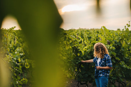 Distant view of a curly woman recording the growing of grapes in the vines on a tablet. Free space for text. Nature farming. Agricultural worker. Smart farming and digital agricultureの写真素材