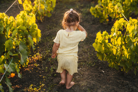 Back view little baby girl running in sunny green vineyard. Autumn nature landscape. Happy family, childhood. Summer vacation fun. Back view. Nature beautyの写真素材