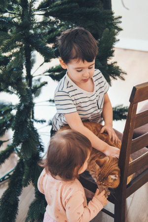 Brother and little sister are playing with kitten in a christmas setting. Winter evening. Happy family.の写真素材