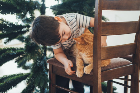 Boy petting the cat sitting on the chair while the family sets up the Christmas tree. Childhood petの写真素材