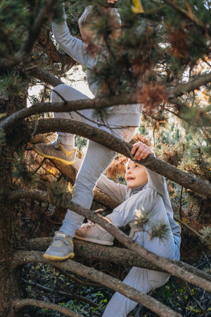 A boy and a girl having fun while climbing up on a pine tree while playing in the autumn park. Enjoying play time on warm autumn day. Outdoors activities, games concept.の写真素材