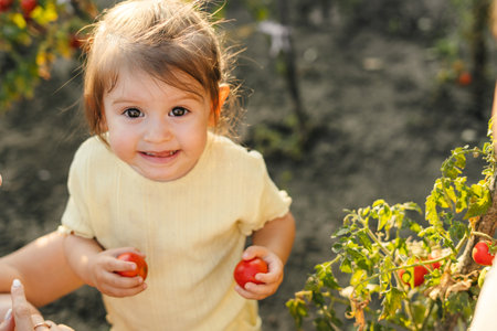 Little funny girl picking tomatoes outdoors, enjoying sunny day outside in the country garden. People growing vegetables in backyard. Green nature. Parent, child. Smiling happy child.の写真素材