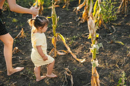 Mother with her little daughter walking in their growing corn field, being happy because of successful season and enjoying sunset. Happy family outdoors. Family education. Farmer field. Nature summer.の写真素材