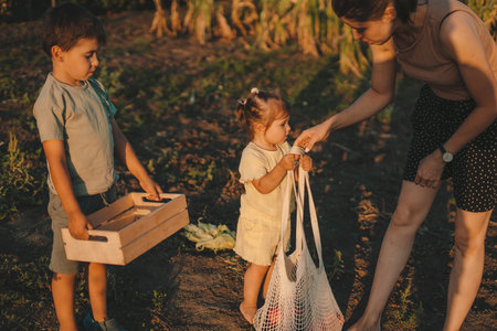 The baby girl trying to carry the bag of vegetables to put them in the wooden box held by her broth. Mother nature. Happy family outdoors. Healthy farm healthy food. Organic vegetable farming.の写真素材