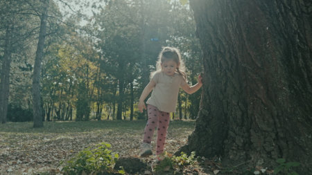 View of a little child girl in casual wears walking alone in autumn park exploring nature. Young caucasian little girl. Autumns holidays on nature.の写真素材