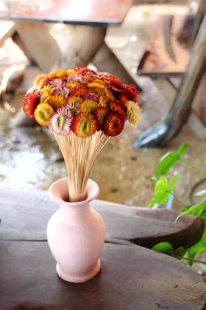 flowers in vaseの写真素材