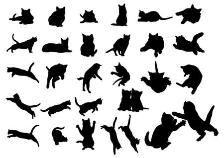 Cats vector collectionのイラスト素材