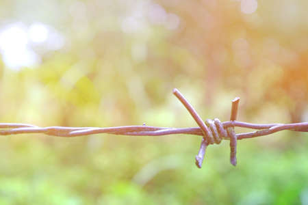 Abstract background with a line of barb with some light at sunset.の写真素材