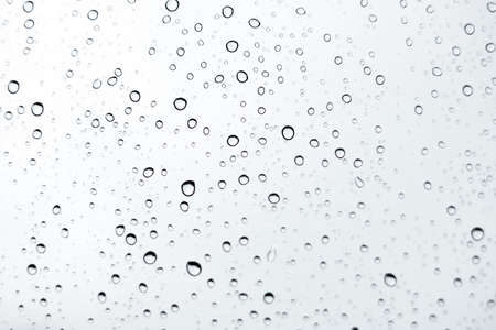 Abstract background. Water drop on the clear umbrella. Green and white bokeh backgroundの写真素材